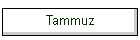 Tammuz