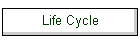 Life Cycle