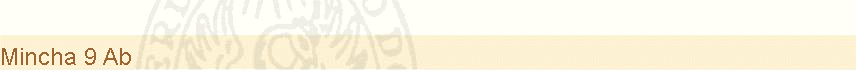 Mincha 9 Ab